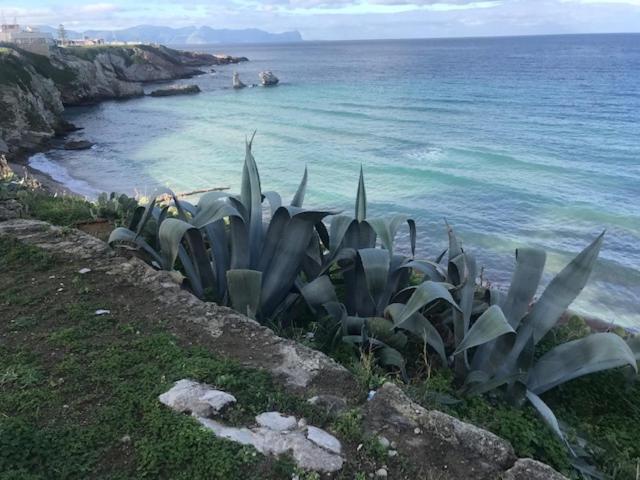 By The Sea Bed & Breakfast Terrasini Exterior photo